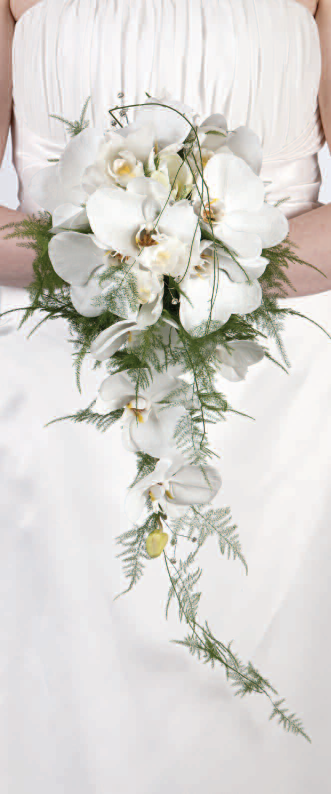 Philanopsis Shower Bouquet